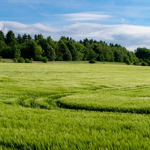 Nature et paysages