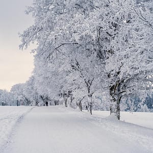 Thème saisonnier (paysages hivernaux)