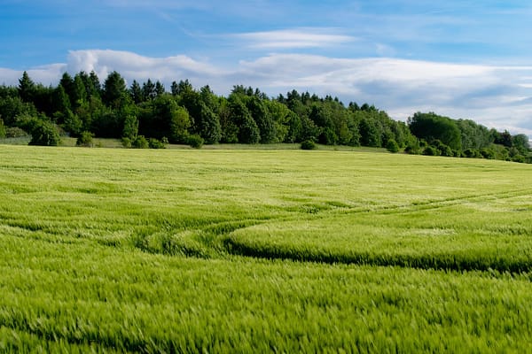 Nature et paysages