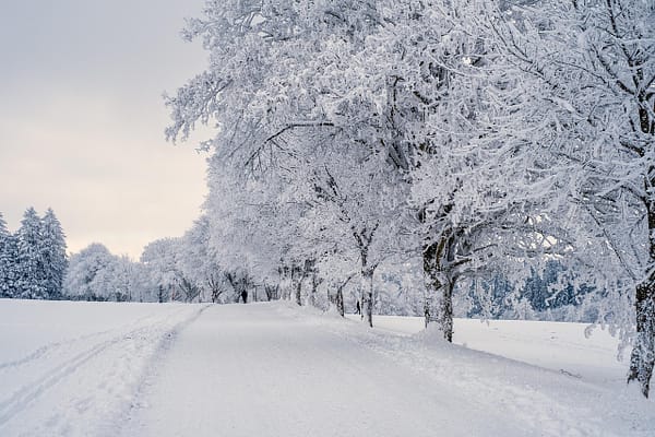 Thème saisonnier (paysages hivernaux)
